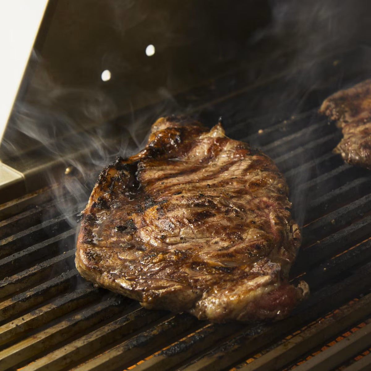 Blaze Infrared Searing Burner for Professional LUX Gas Grills - BLZ-PRO-IR